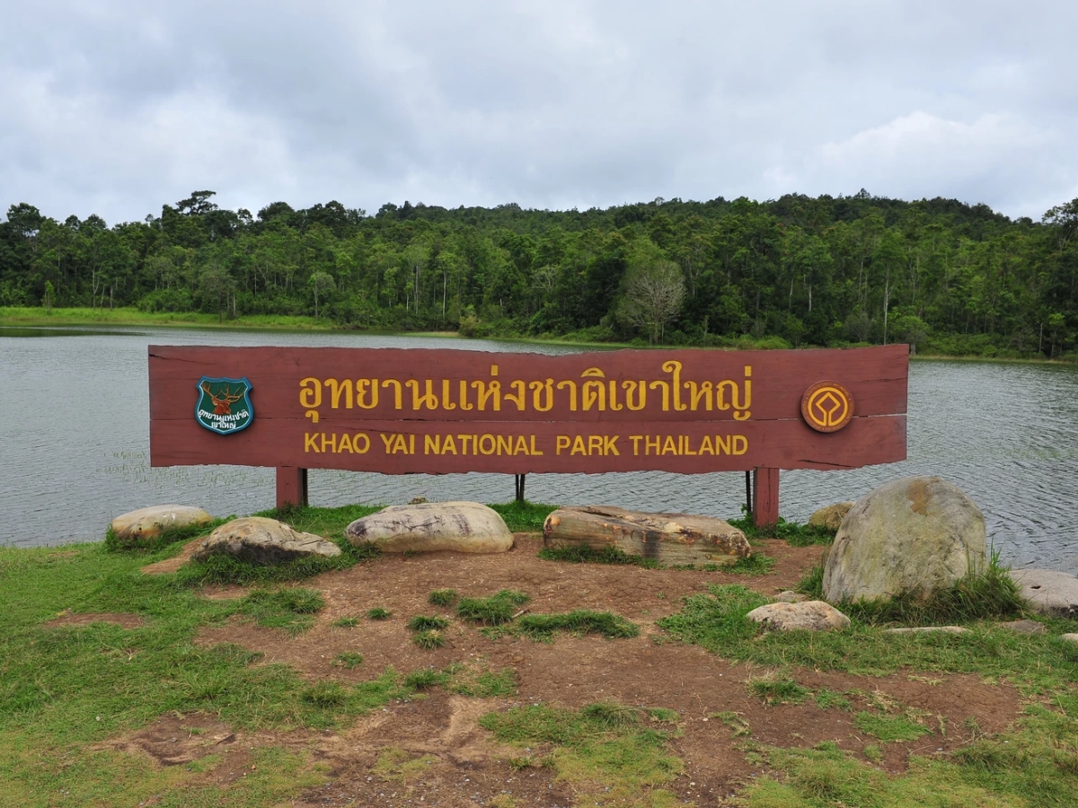 Complete guide to Khao Yai National park